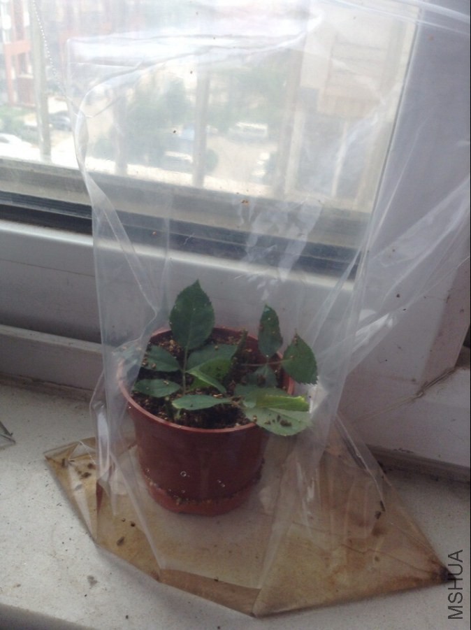 QQͼƬ20140831161619.jpg