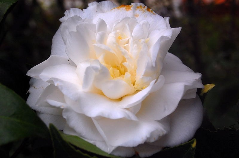 DSC_00230023.JPG