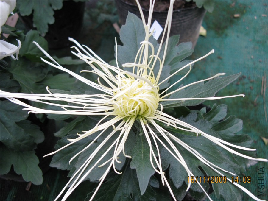 ��Ƭ 016_����.jpg