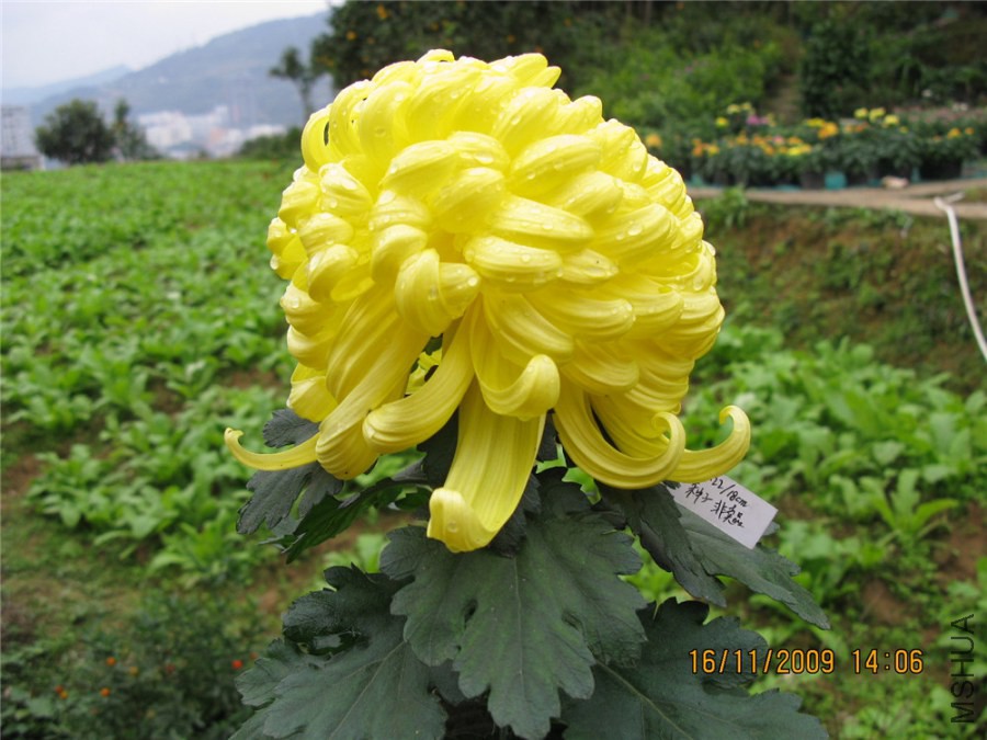 ��Ƭ 023_����.jpg