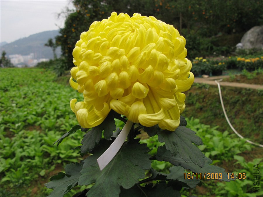 ��Ƭ 024_����.jpg