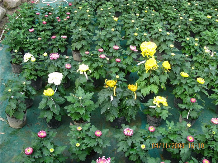 ��Ƭ 026_����1.jpg