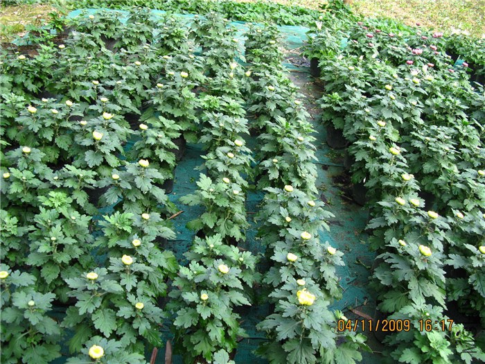 ��Ƭ 043_����1.jpg