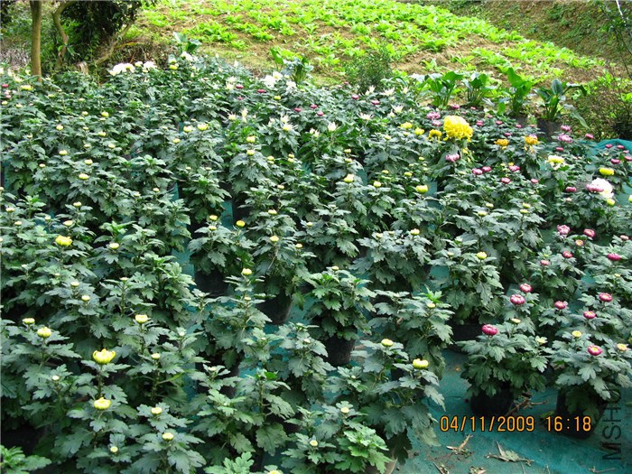 ��Ƭ 044_����1.jpg