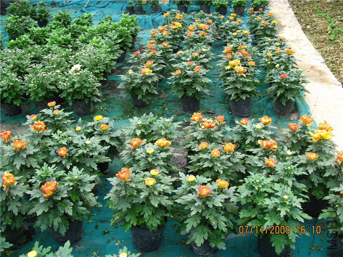 ��Ƭ 060_����1.jpg