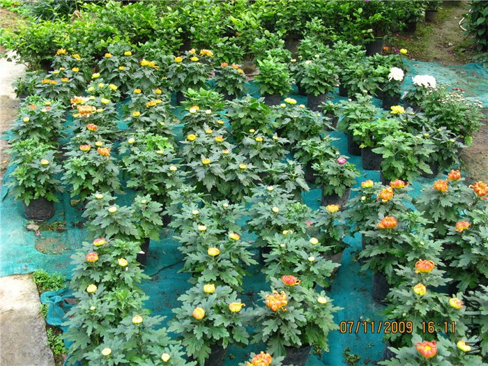 ��Ƭ 061_����1.jpg