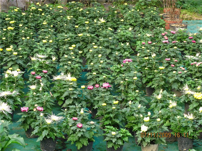 ��Ƭ 062_����1.jpg