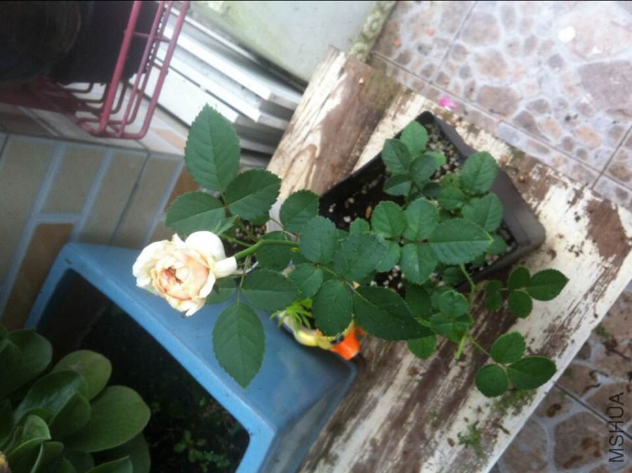 QQͼƬ20140901092017.jpg