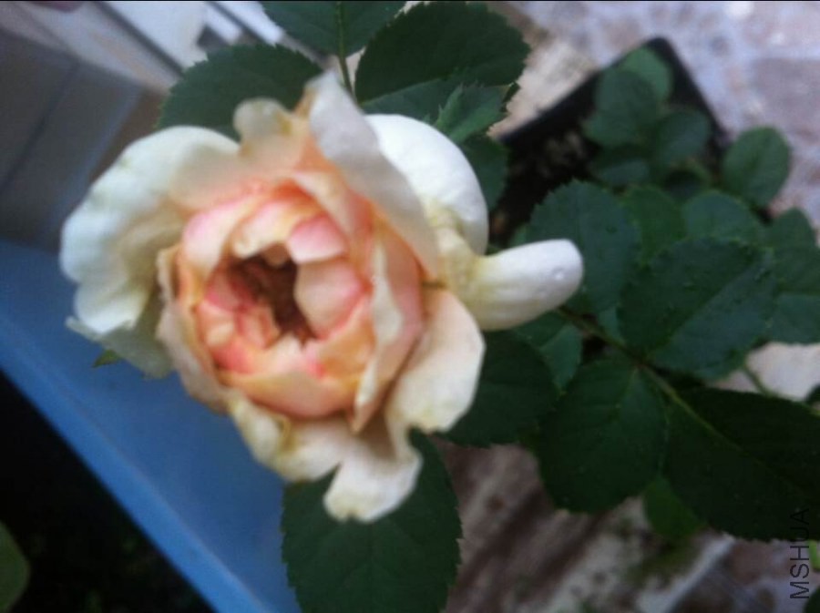 QQͼƬ20140901092008.jpg