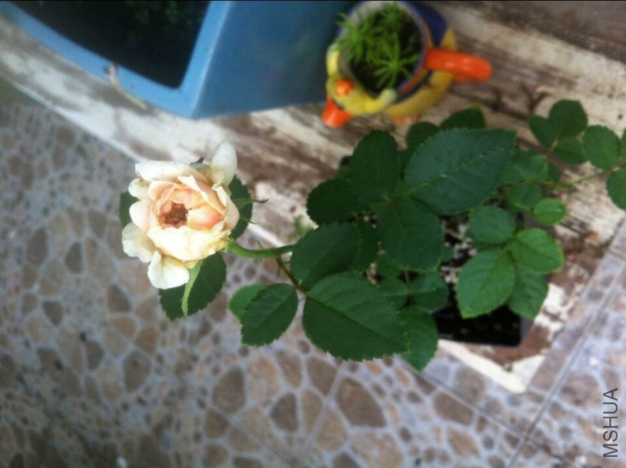 QQͼƬ20140901092013.jpg