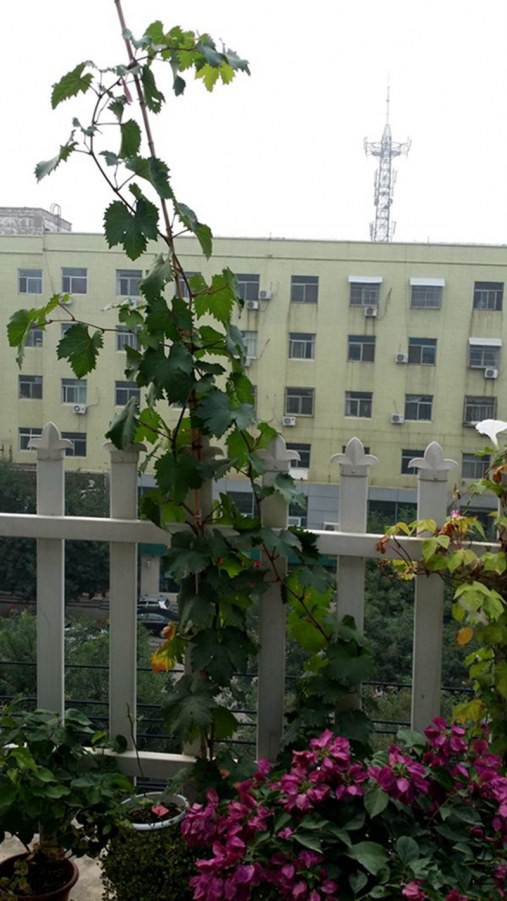 20140901_104007.jpg