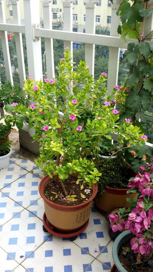 20140901_160726.jpg