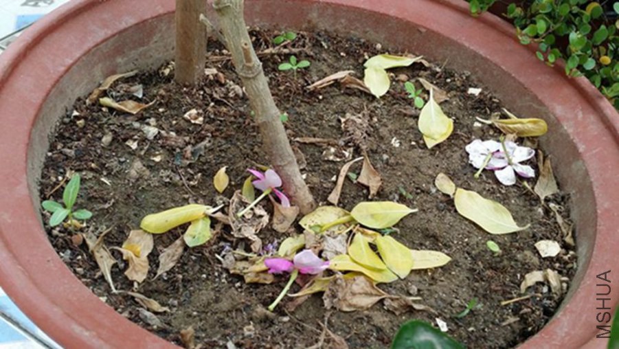 20140901_161057.jpg