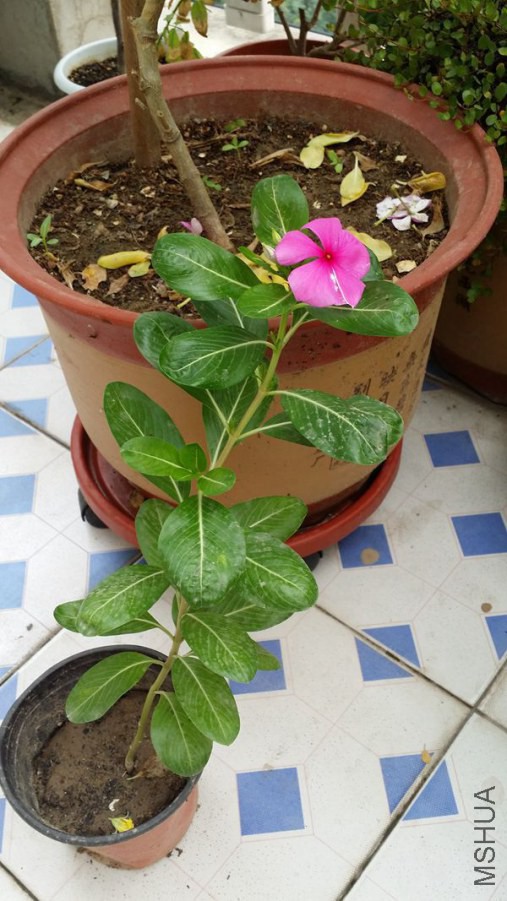 20140901_161044.jpg