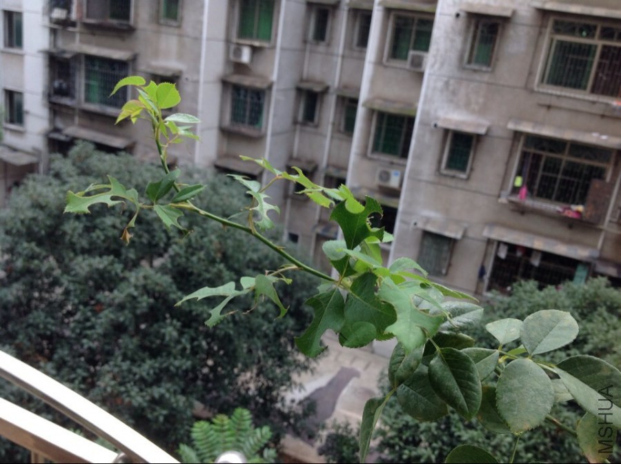 QQͼƬ20140901172606.jpg
