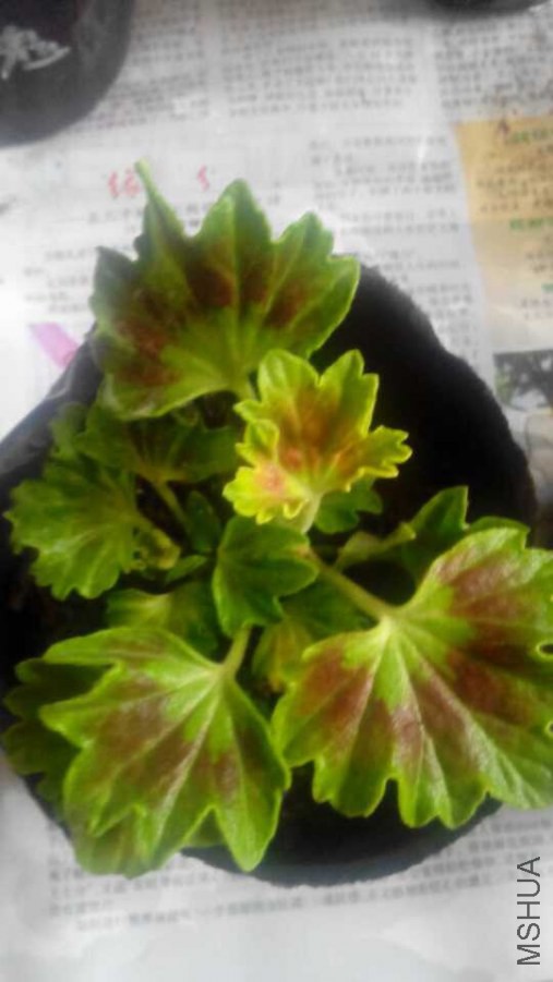 QQͼƬ20140831225523.jpg
