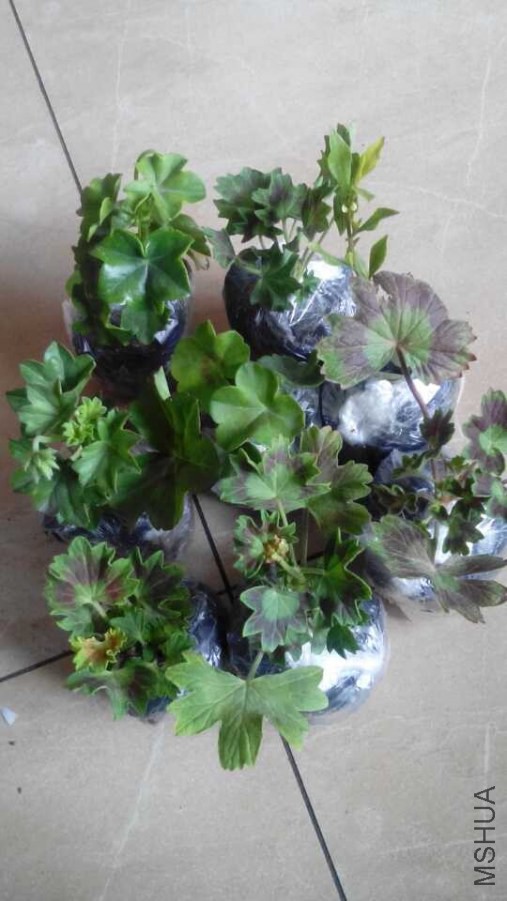 QQͼƬ20140831225530.jpg