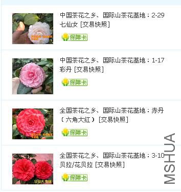 QQͼƬ20140902095642.JPG