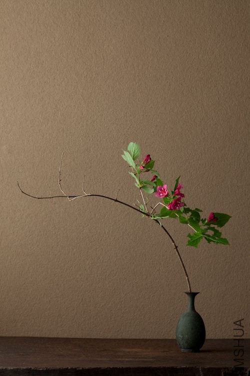 809872c6tw1e98xo9xntpj20dw0kugmz.jpg