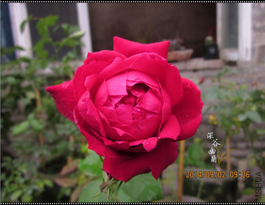 QQͼƬ20080808232712.jpg