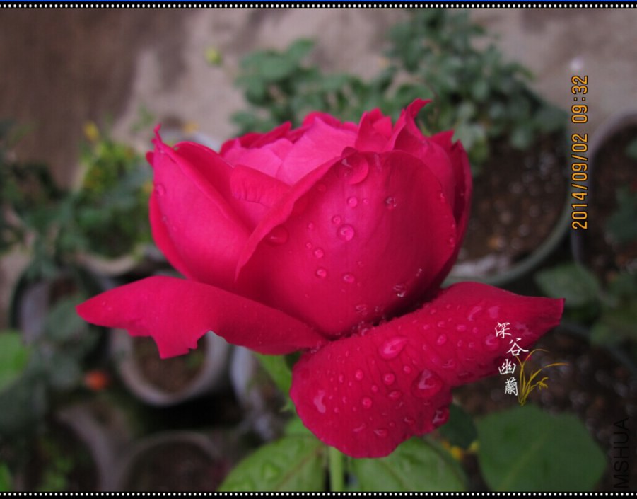 QQͼƬ20080808232843.jpg