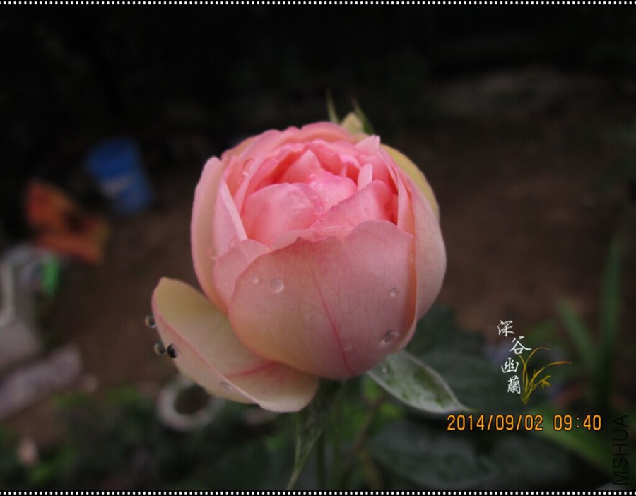 QQͼƬ20080808232928.jpg
