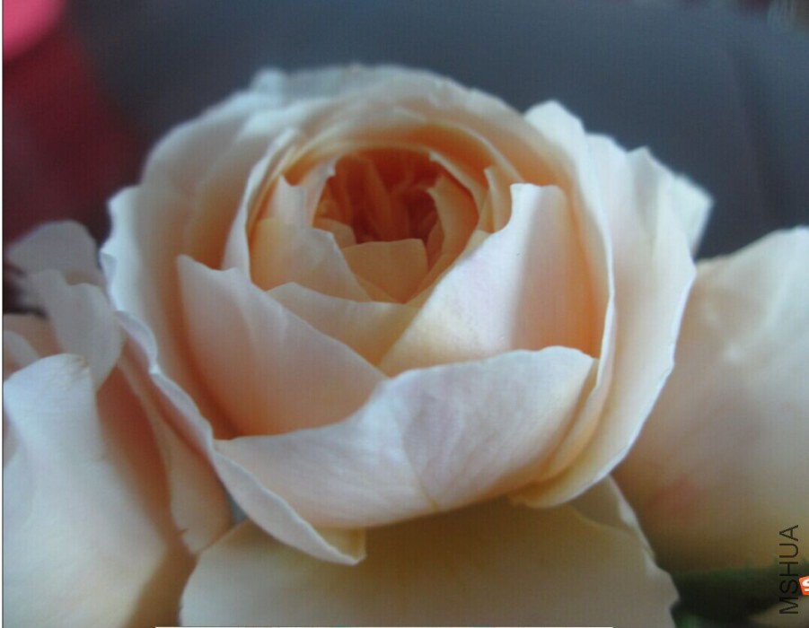 QQͼƬ20140902125041.jpg
