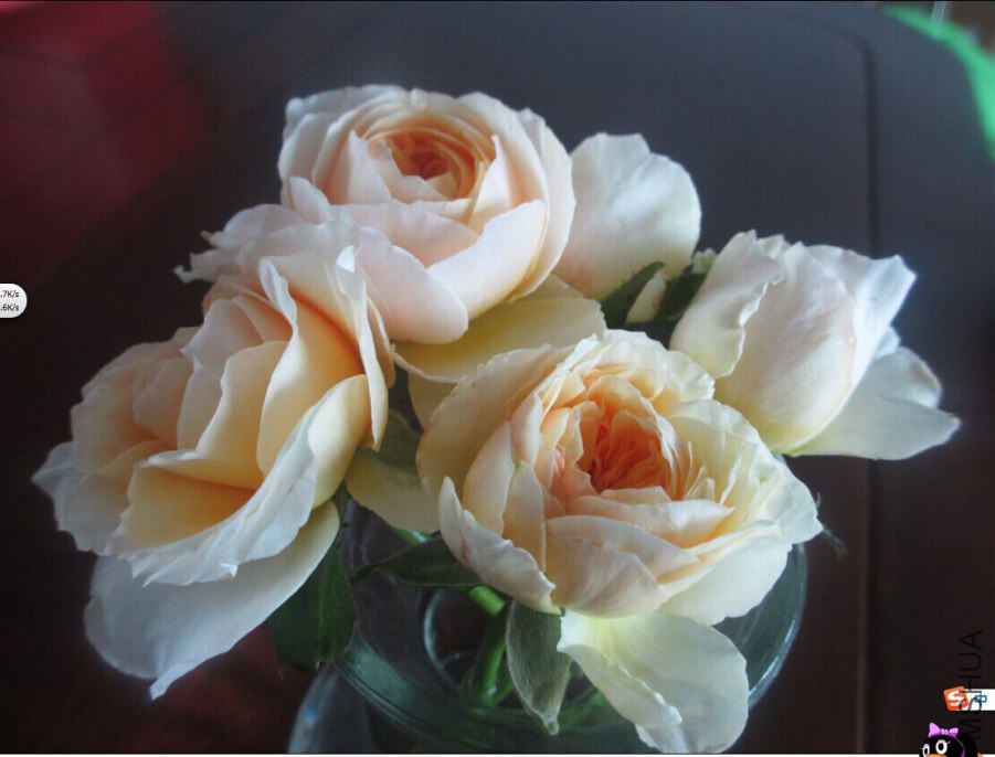 QQͼƬ20140902124910.jpg