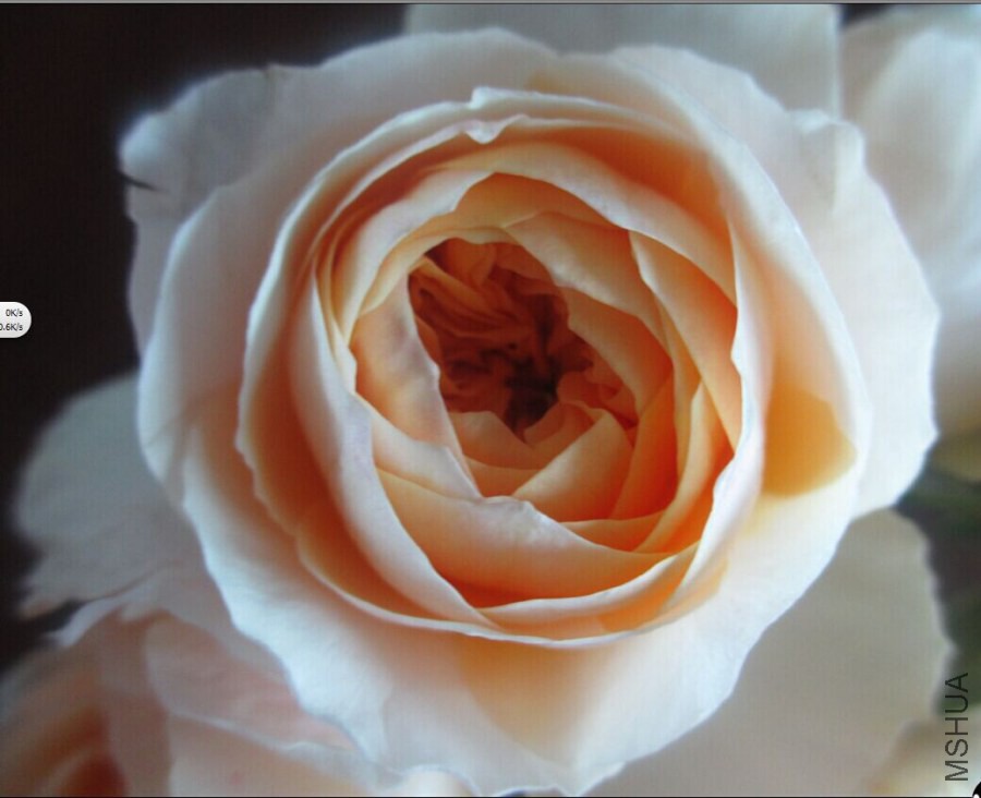 QQͼƬ20140902124917.jpg