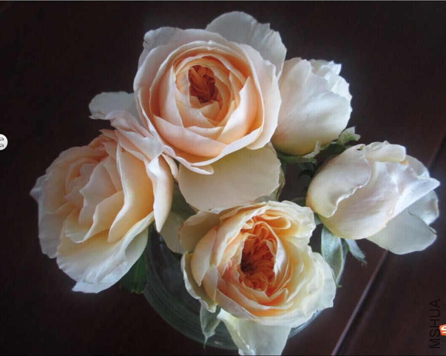 QQͼƬ20140902125036.jpg