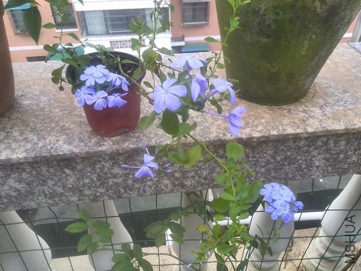 IMG_20140901_174638.jpg