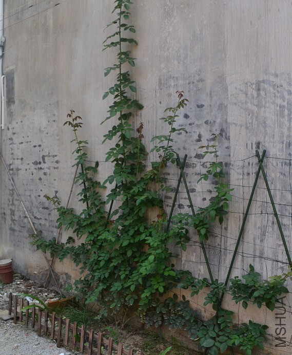 QQ��ͼ20140903171821.jpg