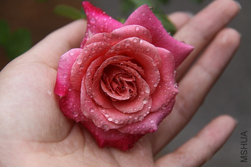 ��Ƭ 019_����.jpg