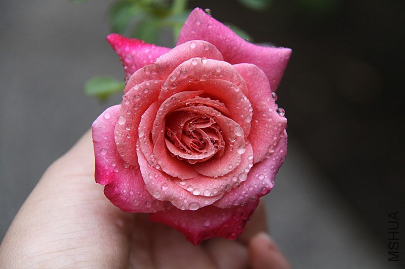 ��Ƭ 020_����.jpg