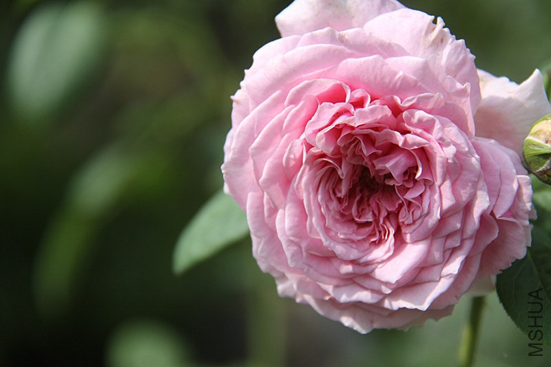 ��Ƭ 033_����.jpg