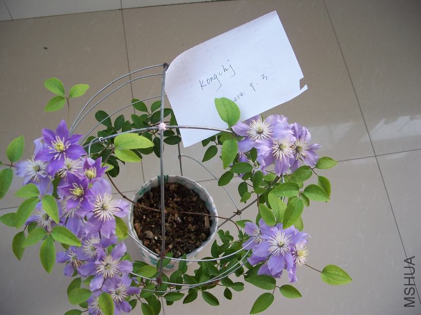 100_5006.JPG
