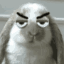 37_avatar_middle.jpg