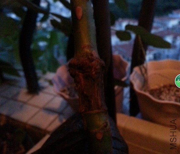 QQ��ͼ20140903212814.jpg