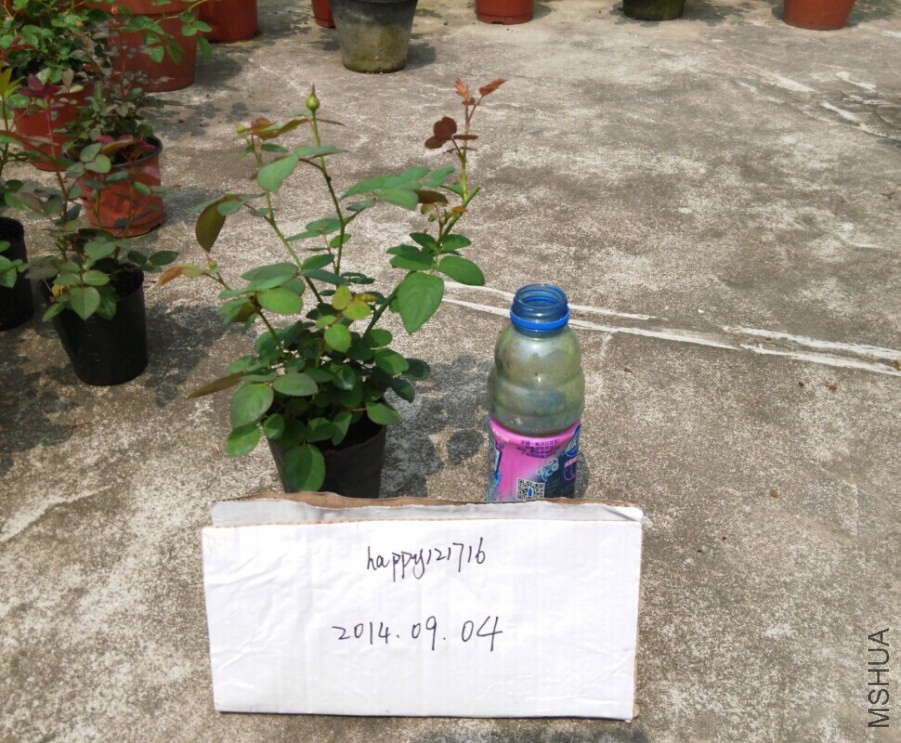 ˫��.jpg