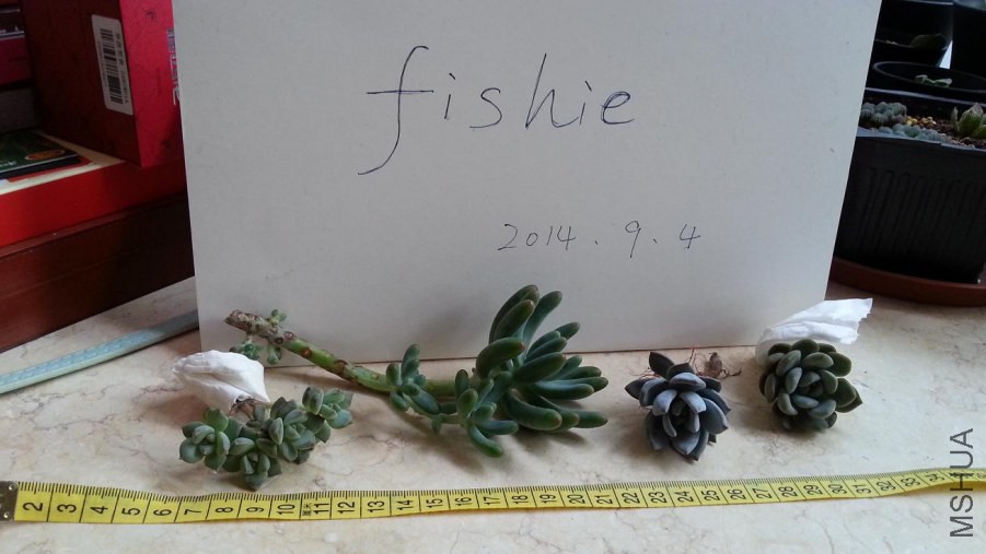 20140904_072049.jpg