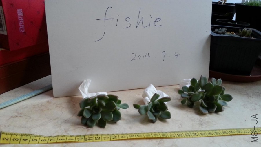 20140904_072224.jpg