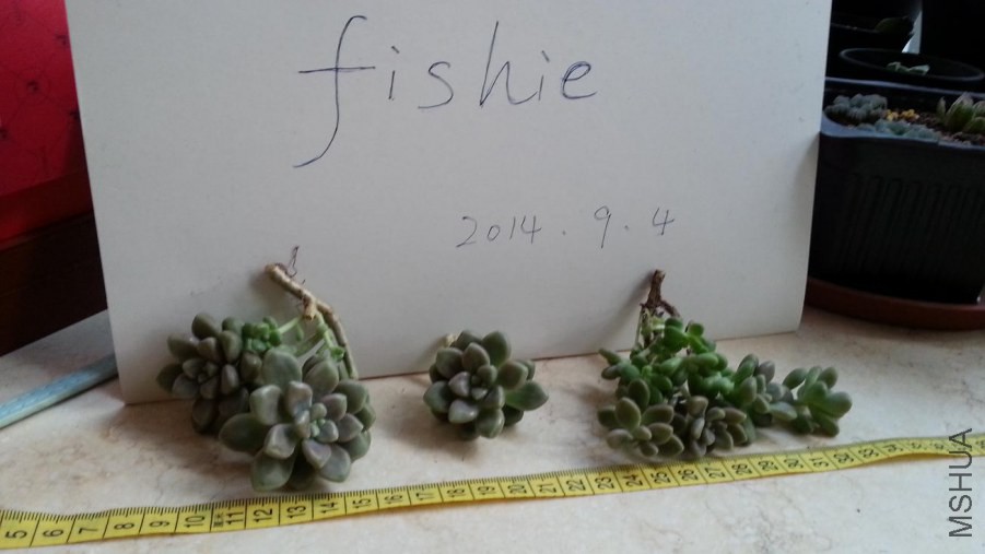 20140904_072334.jpg