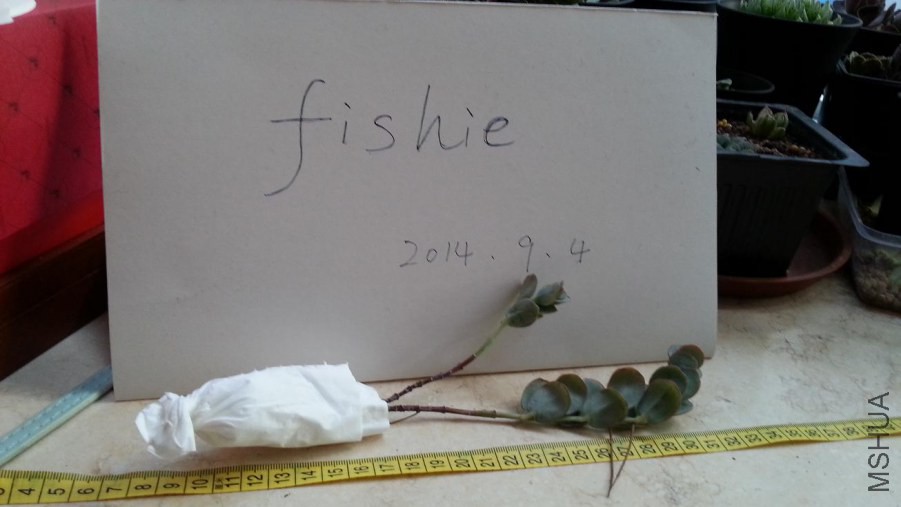 20140904_072408.jpg