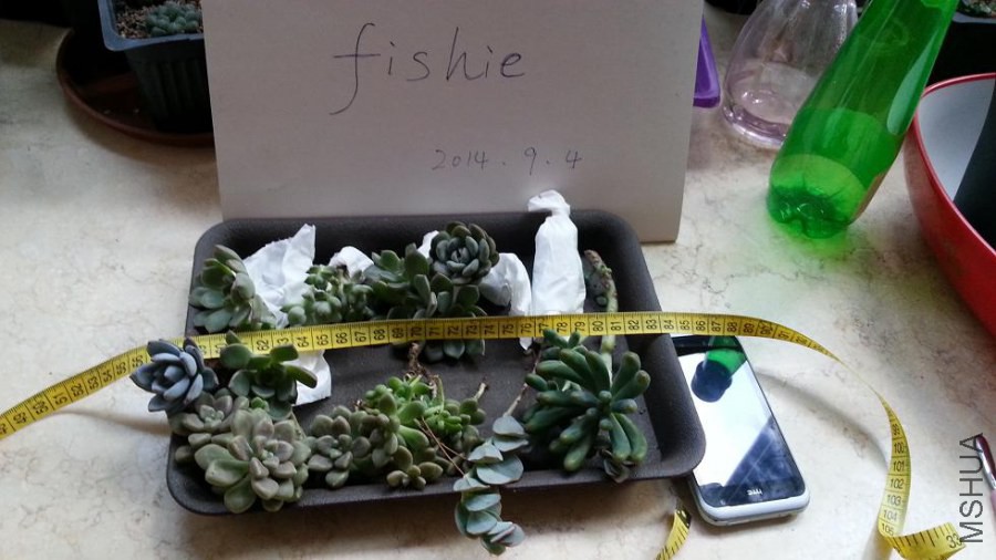 20140904_071816.jpg