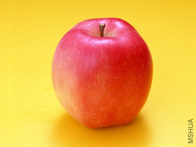 photograph_fruit_apple_8167_m.jpg
