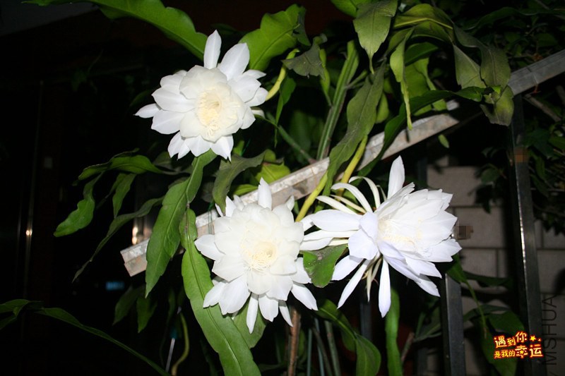 ��Ƭ 003_����.jpg