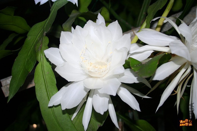 ��Ƭ 005_����.jpg