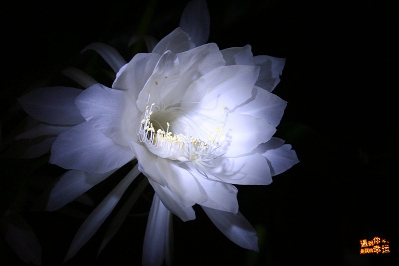 ��Ƭ 006_����.jpg