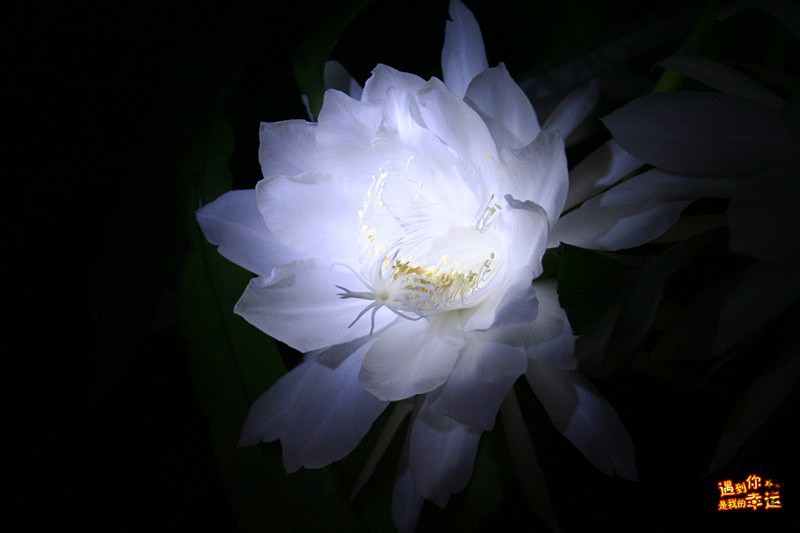 ��Ƭ 008_����.jpg