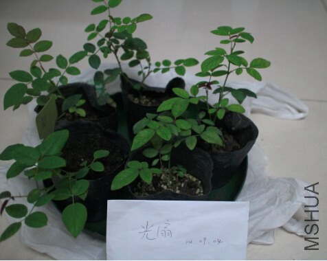 QQ��ͼ20140904194221.jpg